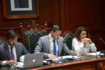 Pleno ordinario de febrero de 2020 (Foto TA)